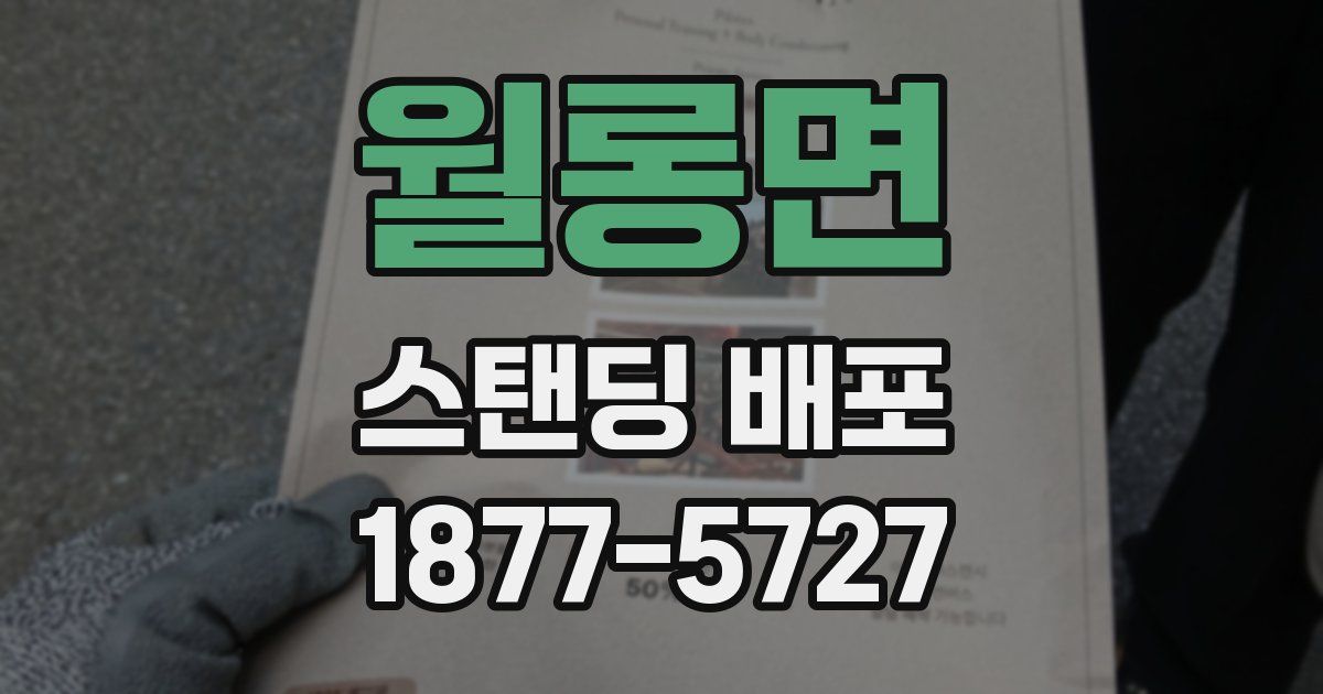 월롱면 스탠딩 배포