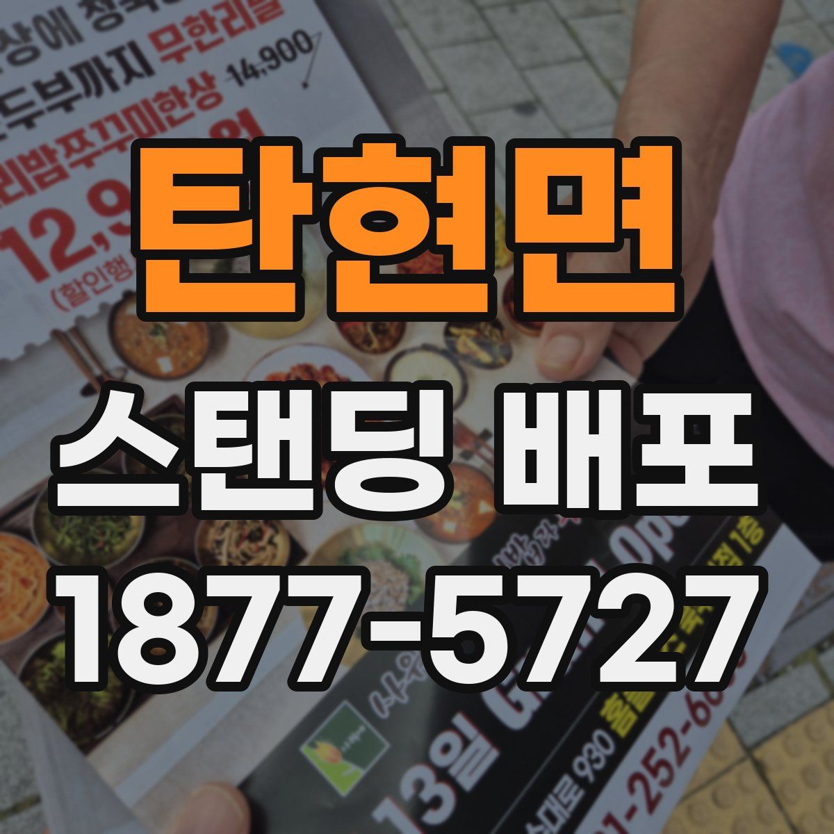 탄현면 스탠딩 배포