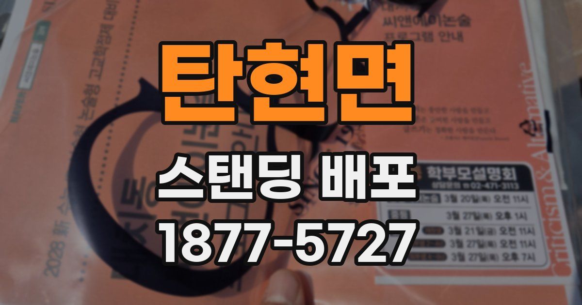 탄현면 스탠딩 배포
