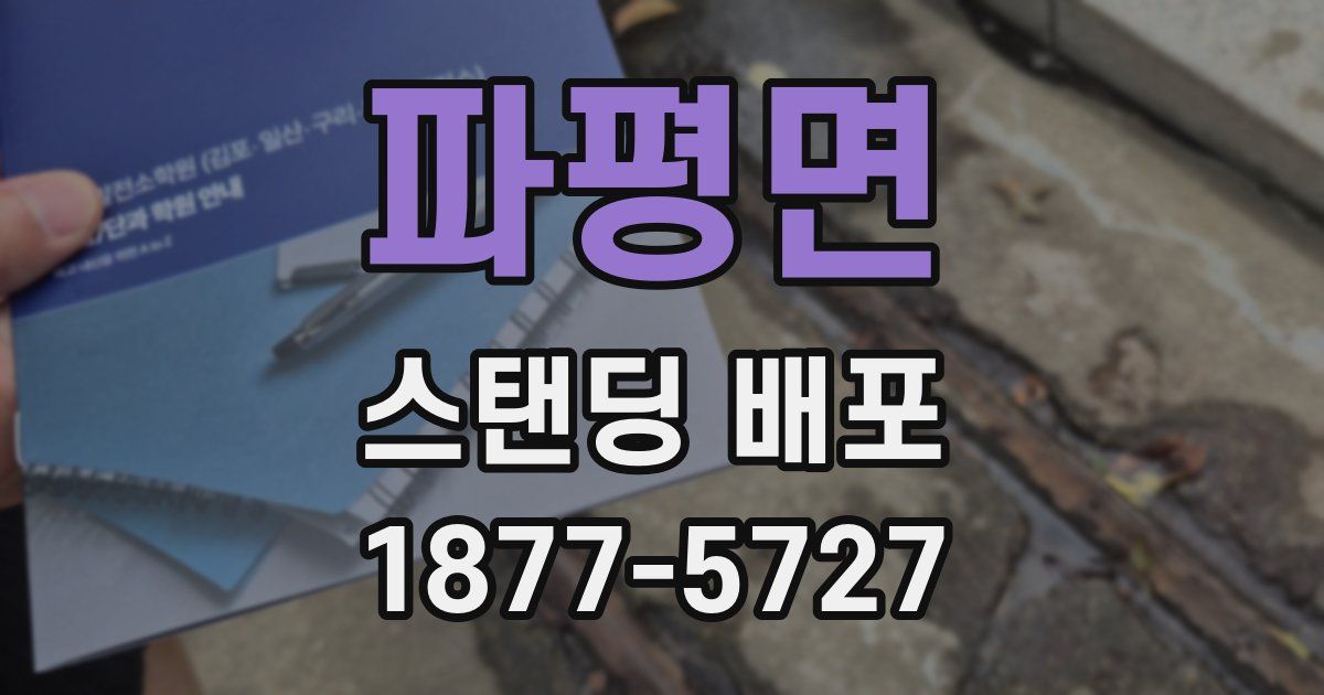 파평면 스탠딩 배포
