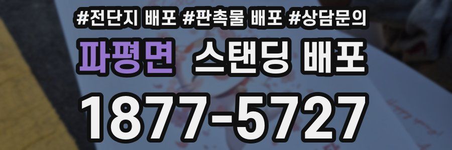 파평면 스탠딩 배포