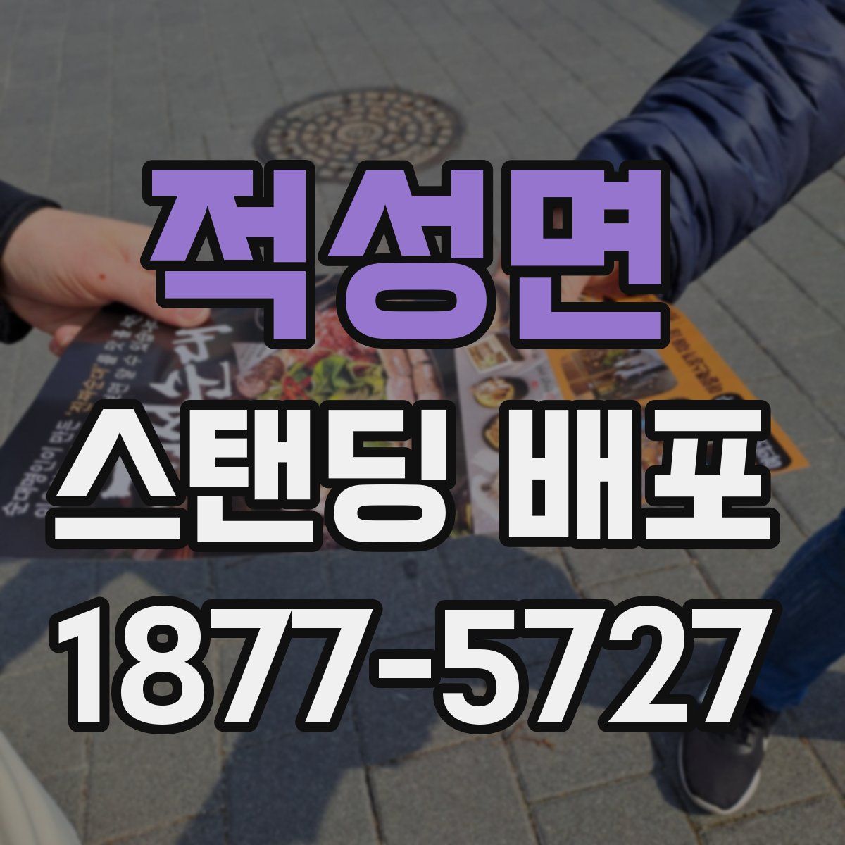 적성면 스탠딩 배포
