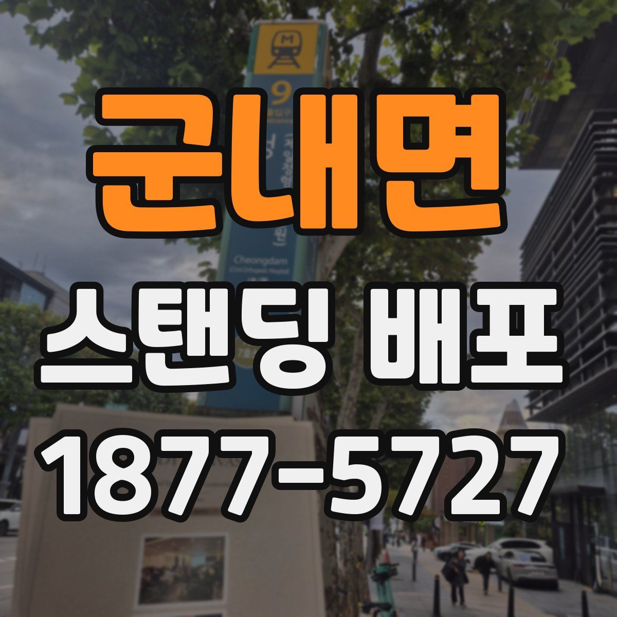군내면 스탠딩 배포