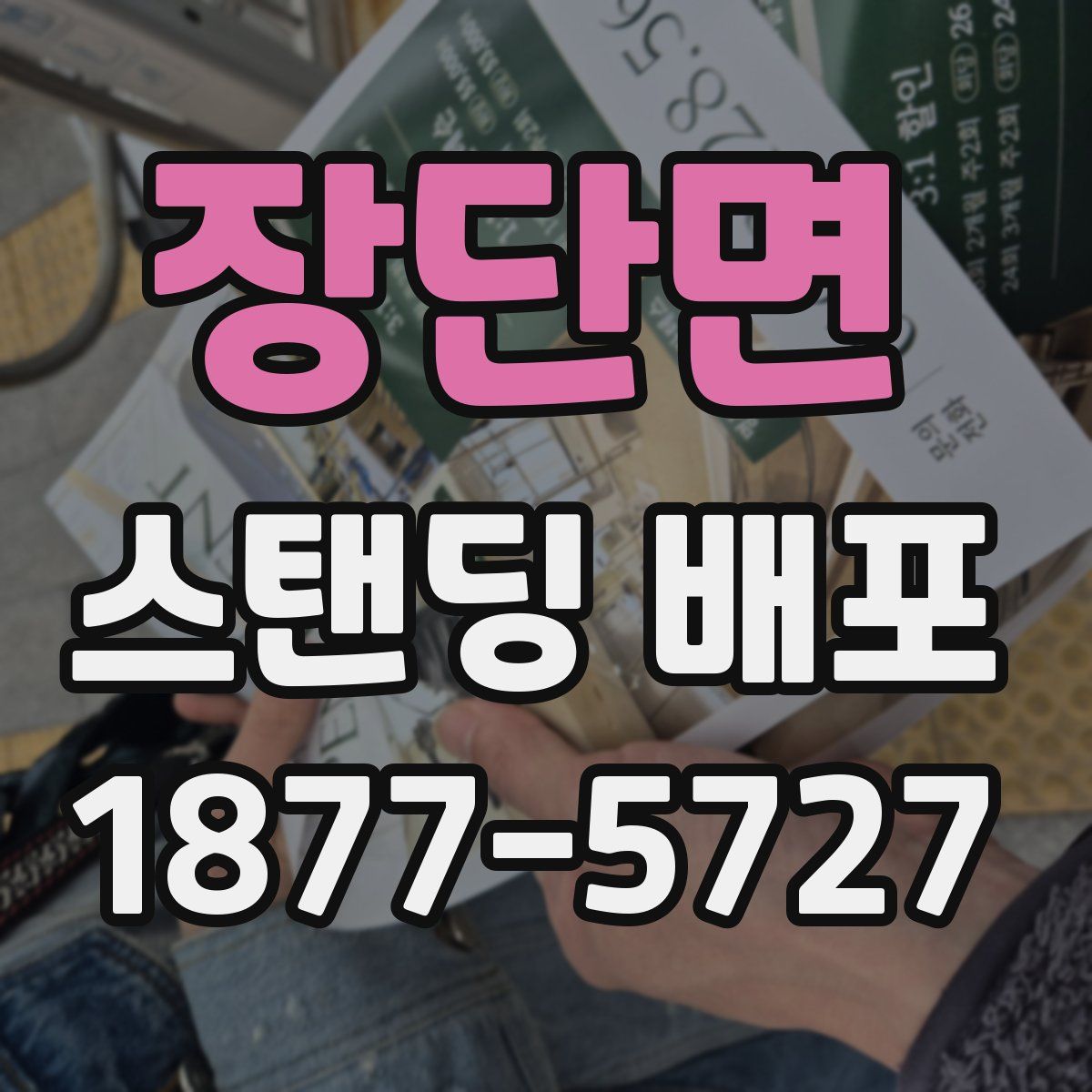 장단면 스탠딩 배포