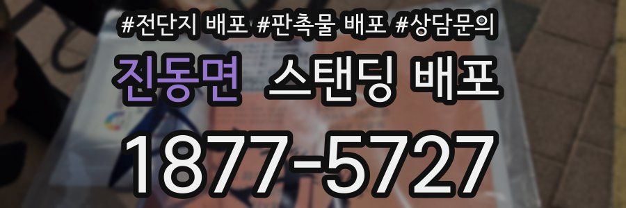 진동면 스탠딩 배포