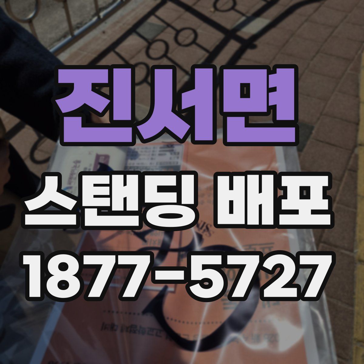 진서면 스탠딩 배포