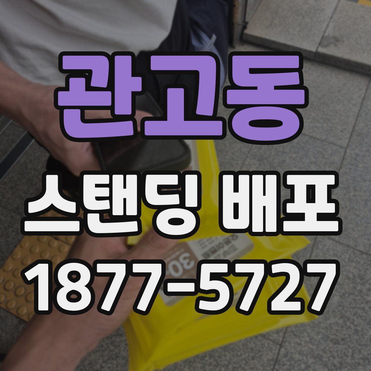 관고동 스탠딩 배포