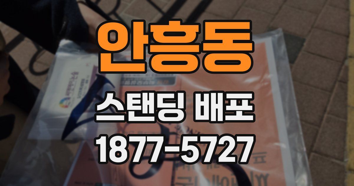 안흥동 스탠딩 배포