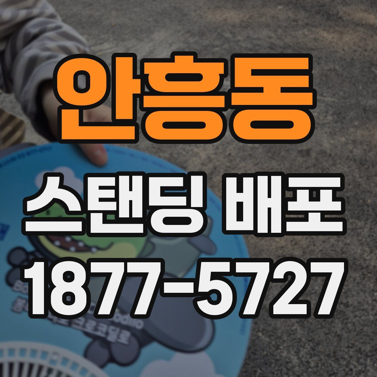 안흥동 스탠딩 배포