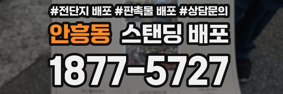 안흥동 스탠딩 배포