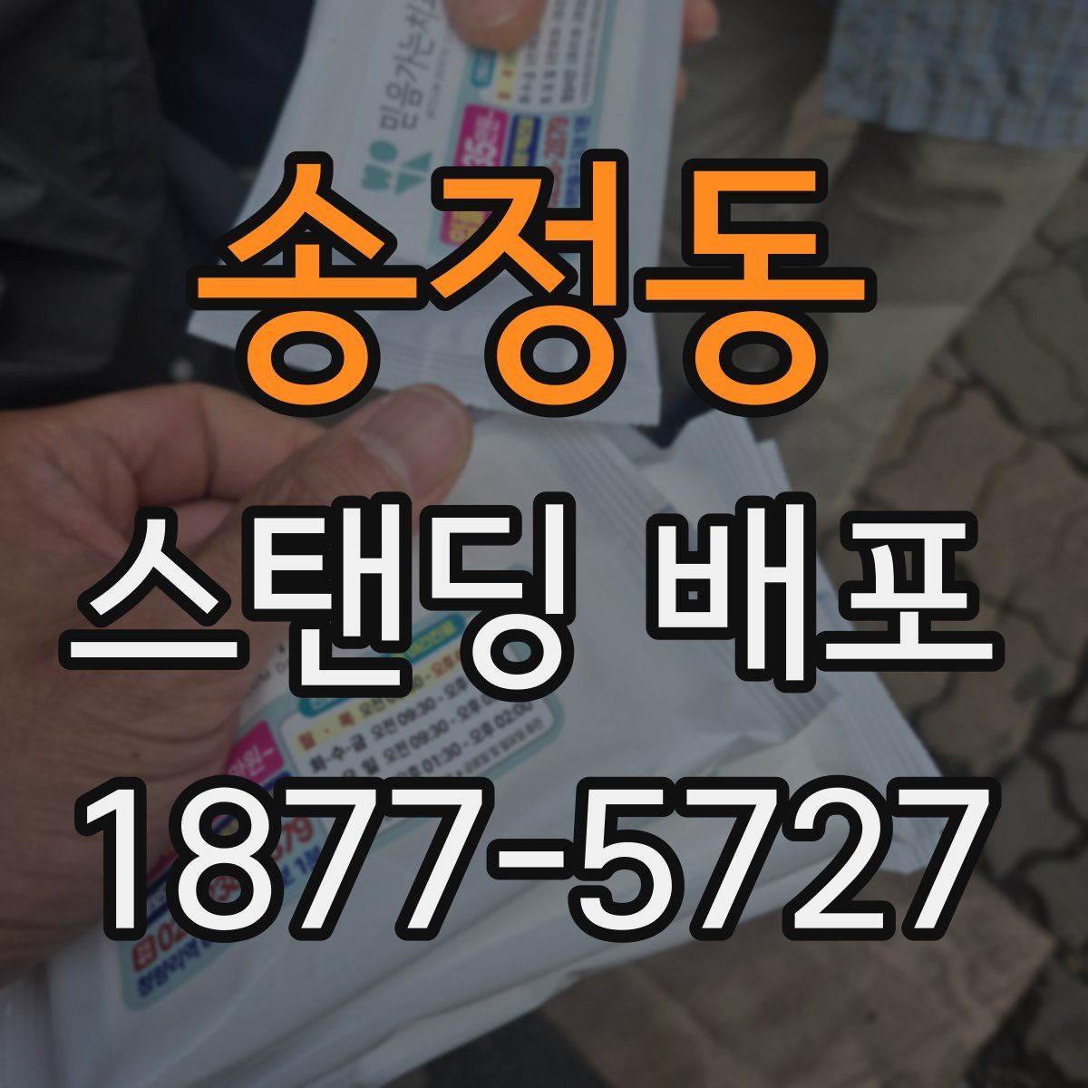 송정동 스탠딩 배포