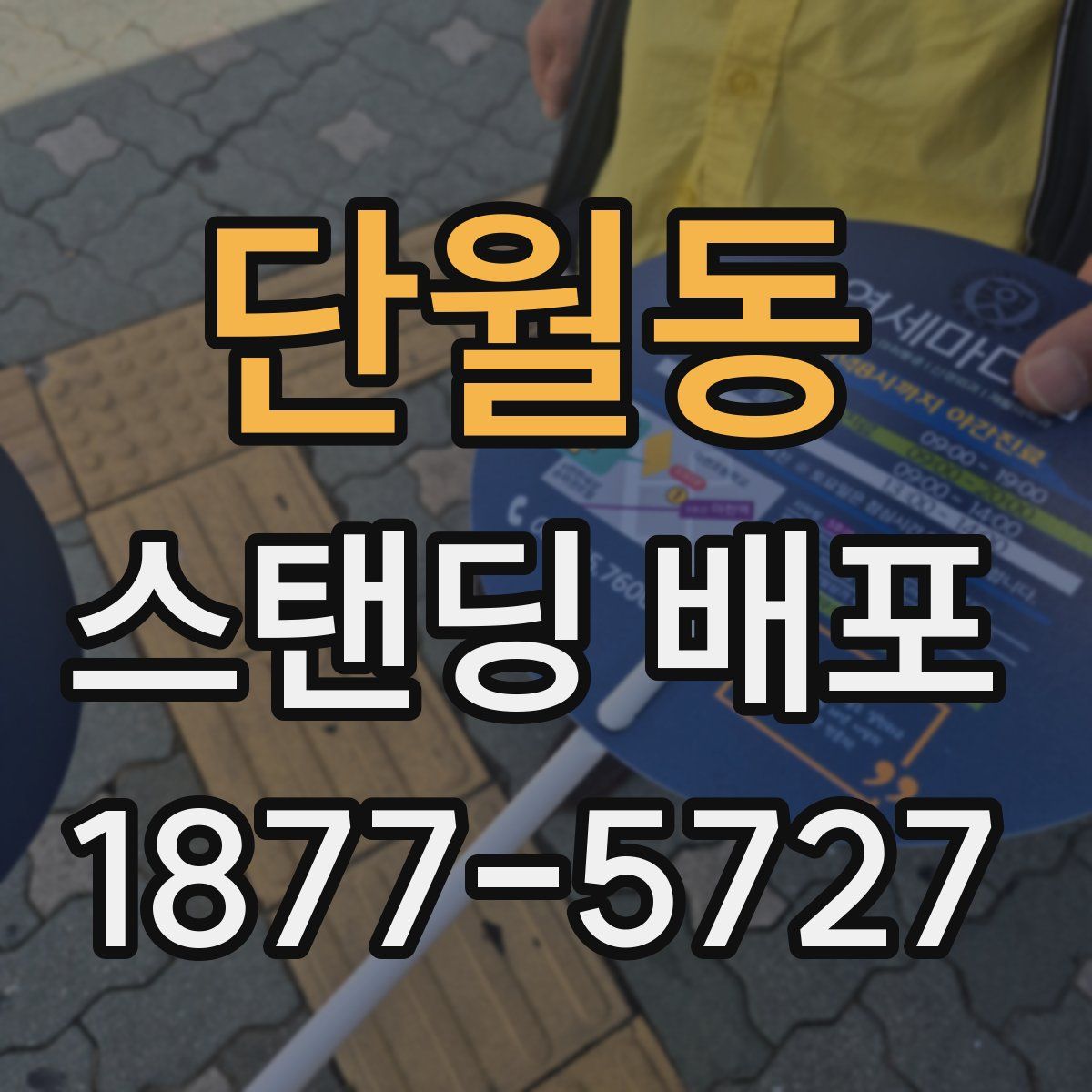 단월동 스탠딩 배포