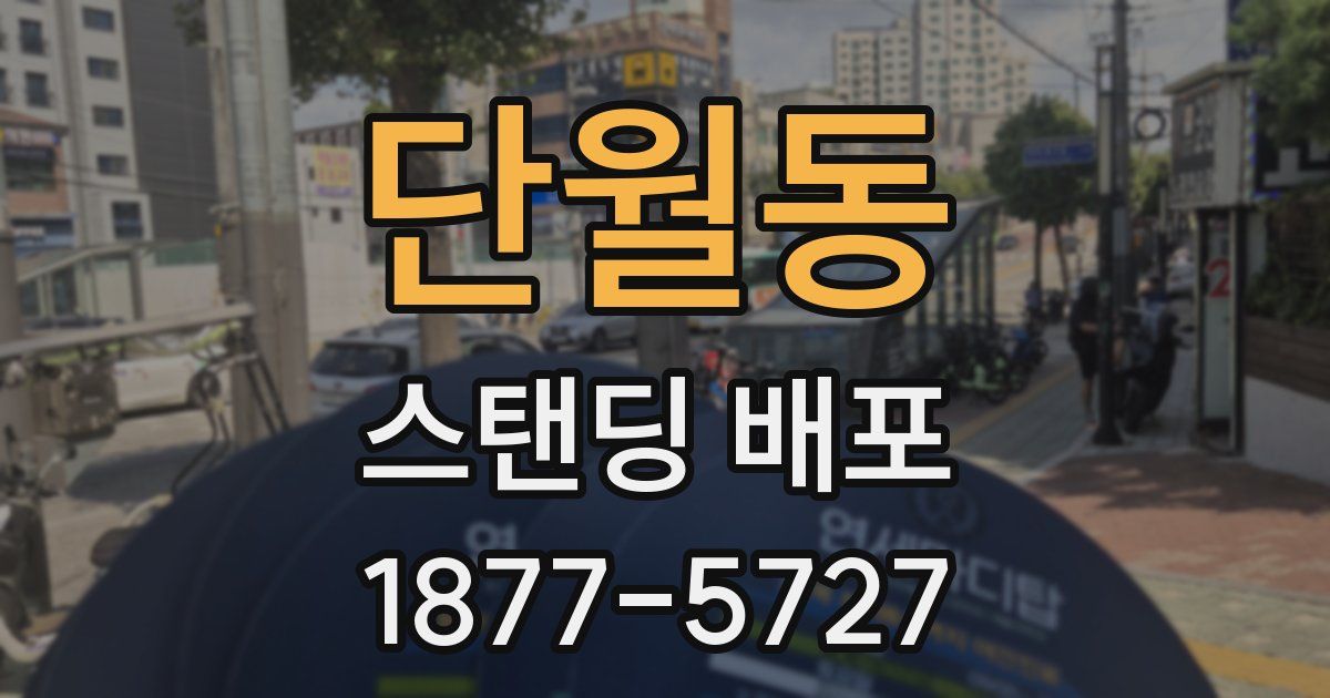 단월동 스탠딩 배포