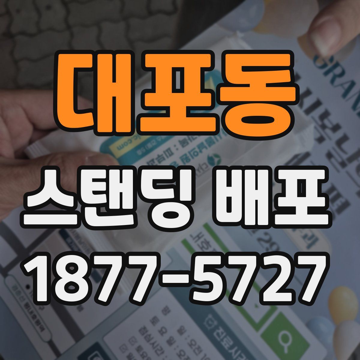 대포동 스탠딩 배포