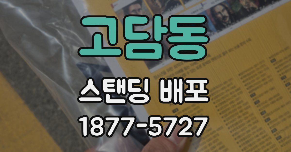 고담동 스탠딩 배포