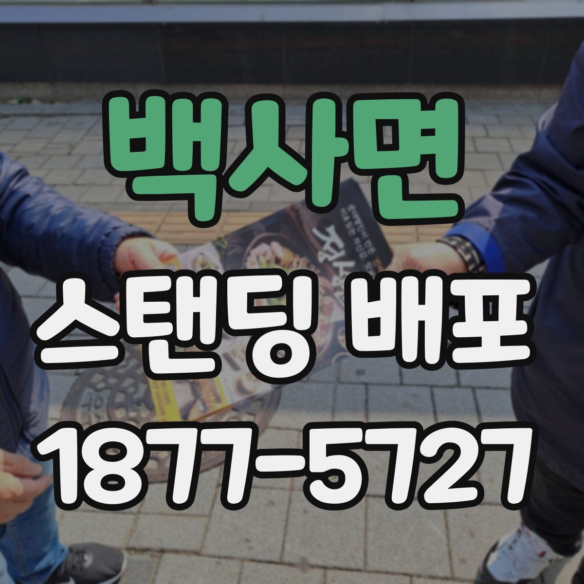 백사면 스탠딩 배포