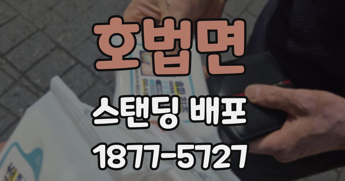호법면 스탠딩 배포