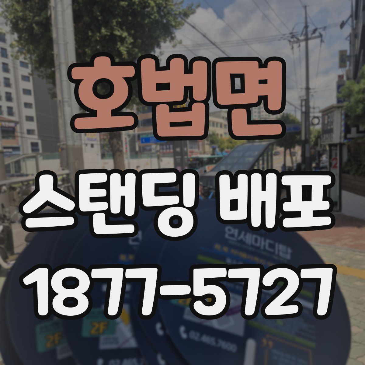 호법면 스탠딩 배포