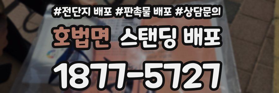 호법면 스탠딩 배포