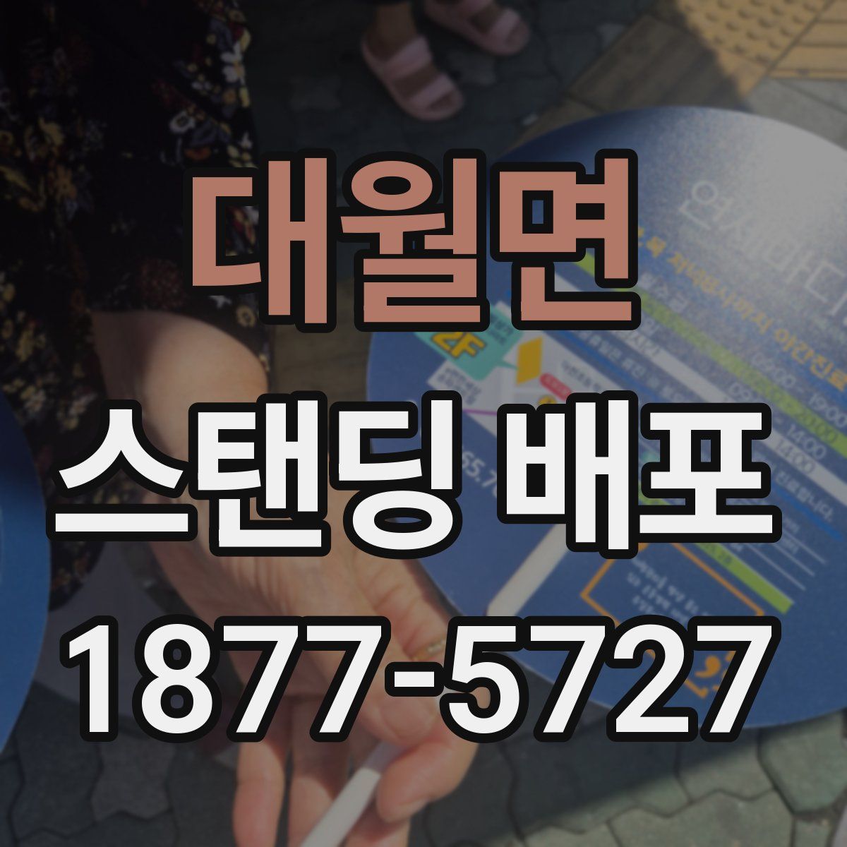 대월면 스탠딩 배포