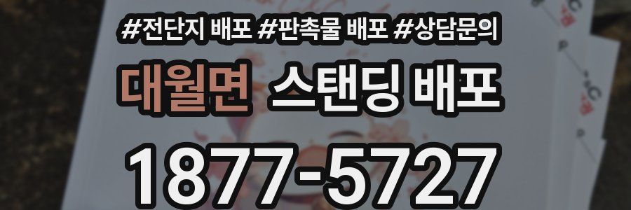 대월면 스탠딩 배포