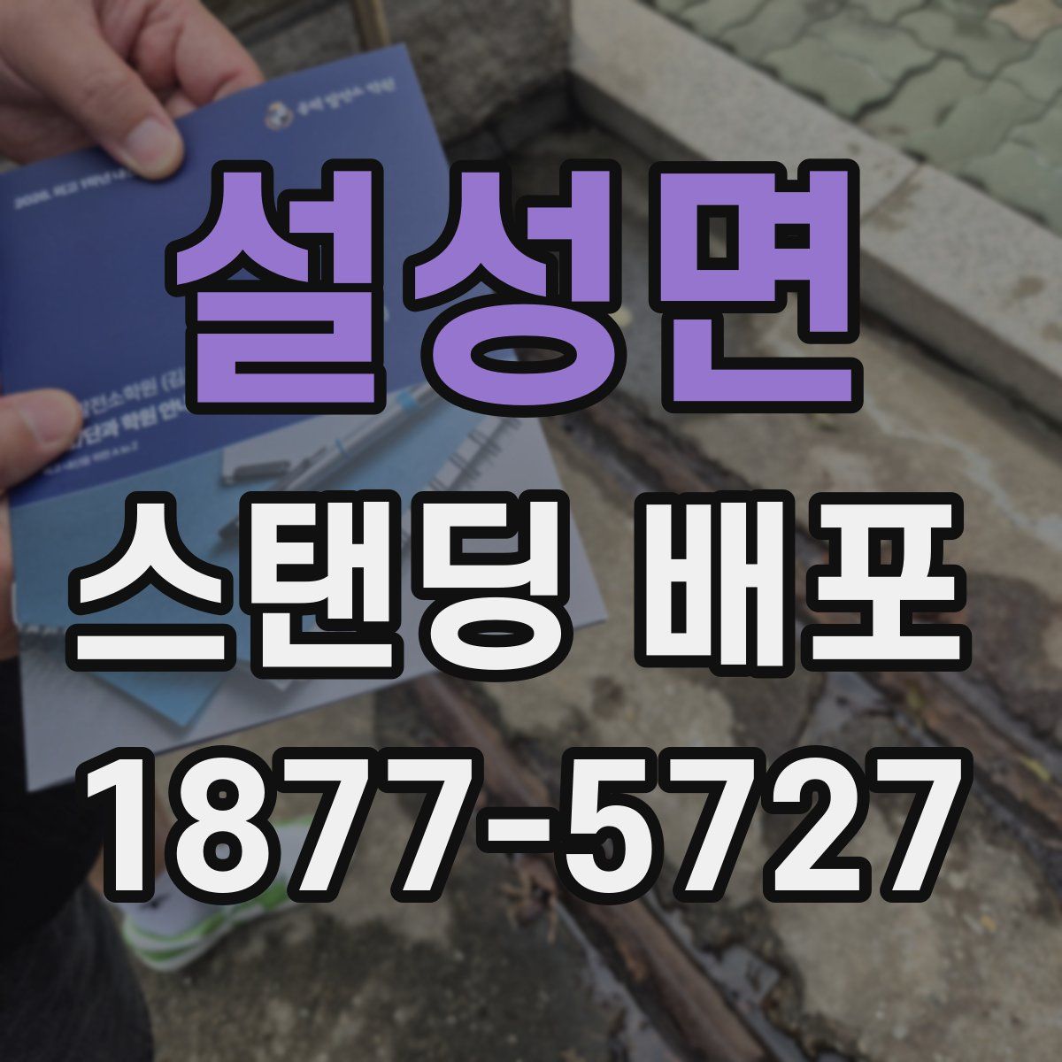 설성면 스탠딩 배포