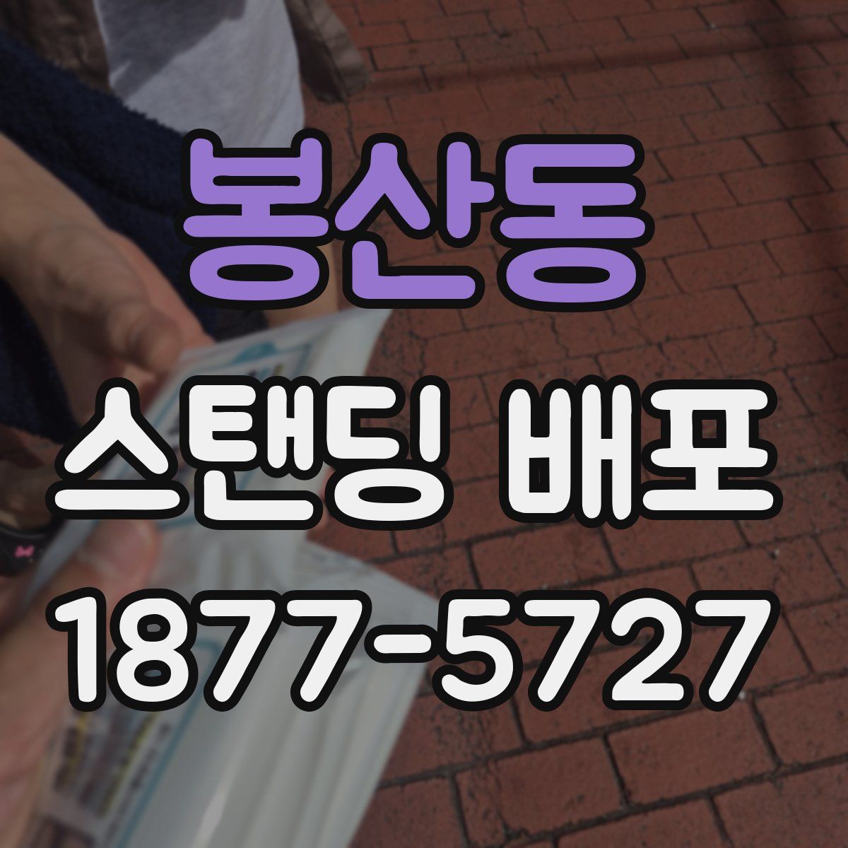 봉산동 스탠딩 배포