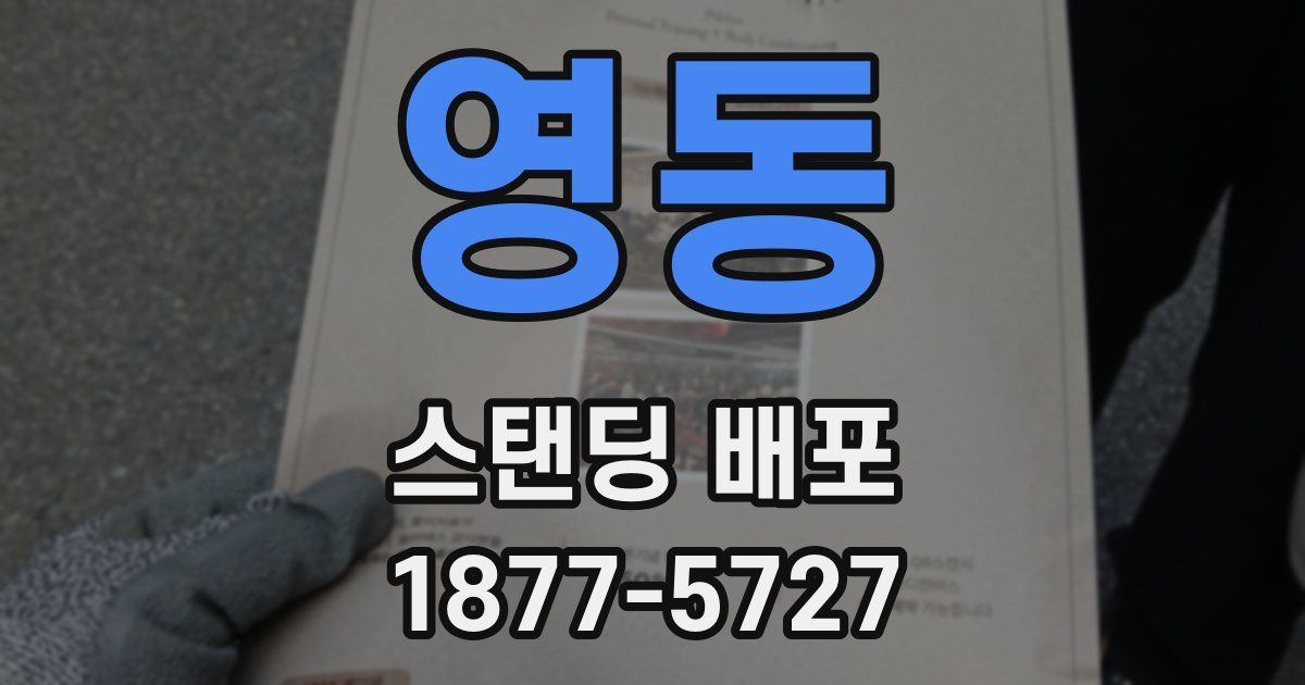 영동 스탠딩 배포