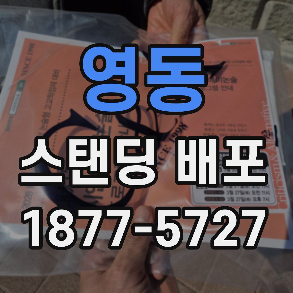 영동 스탠딩 배포