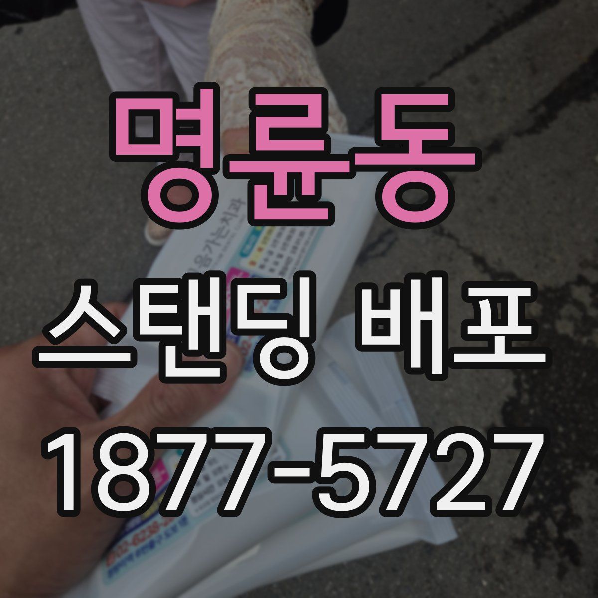 명륜동 스탠딩 배포