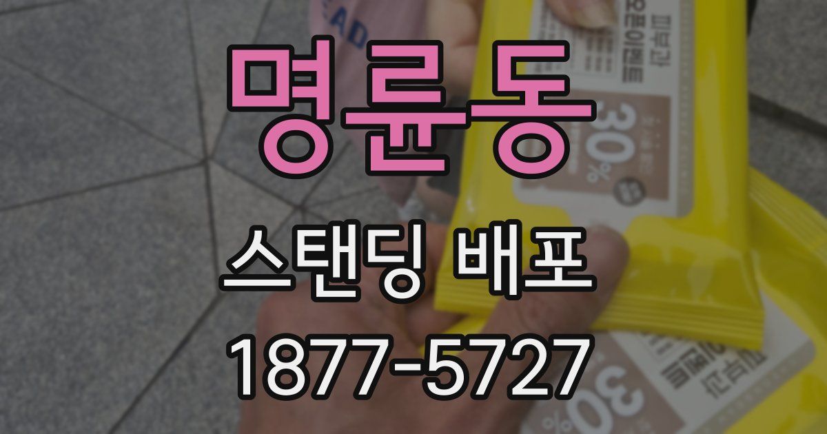 명륜동 스탠딩 배포