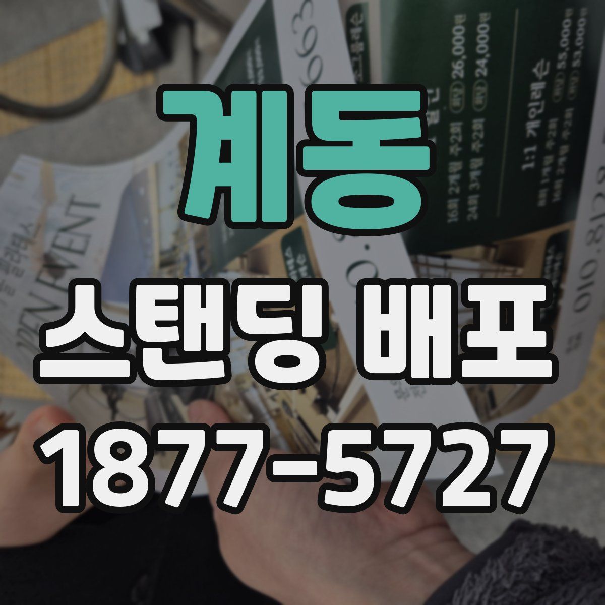 계동 스탠딩 배포