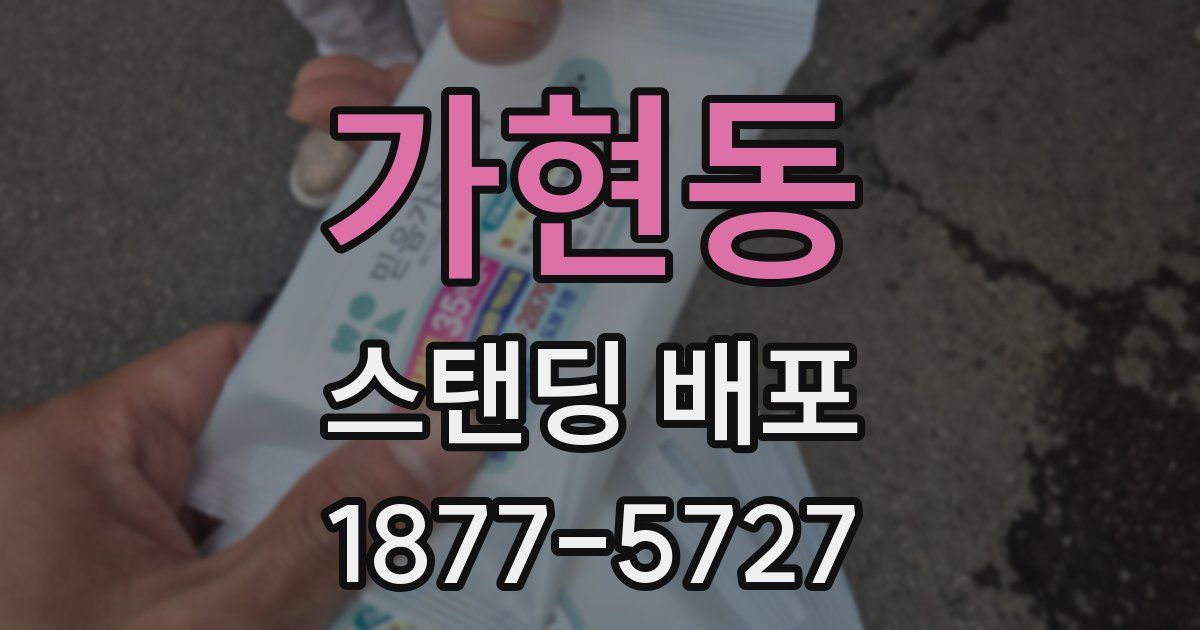가현동 스탠딩 배포