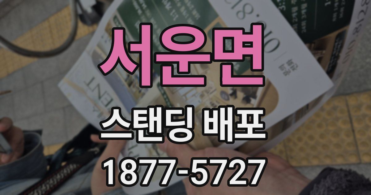 서운면 스탠딩 배포