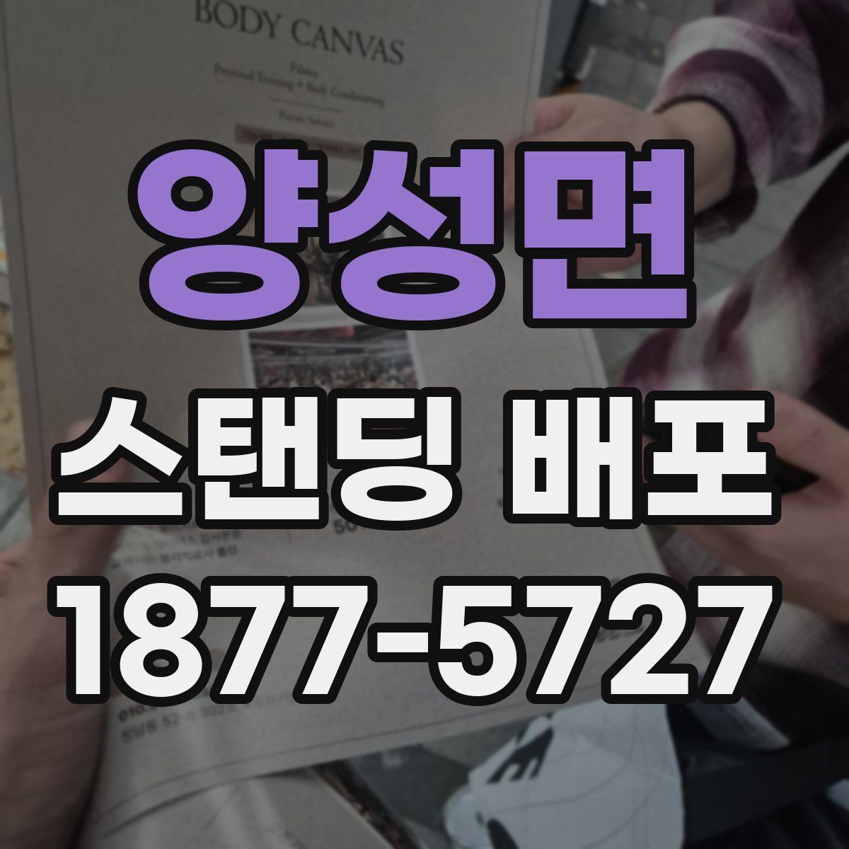 양성면 스탠딩 배포