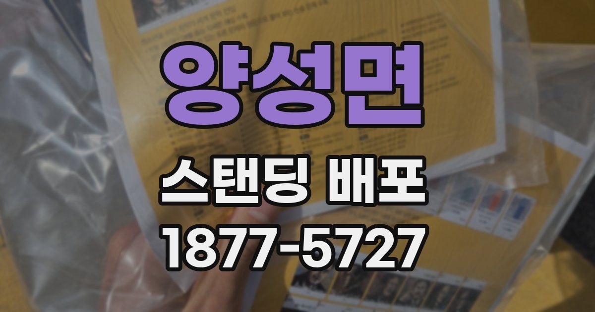 양성면 스탠딩 배포