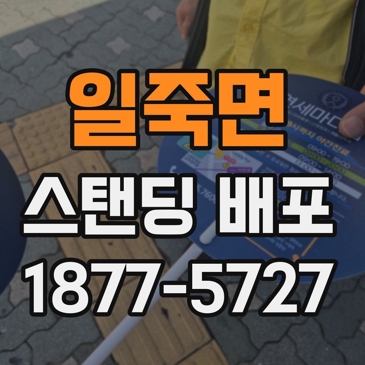 일죽면 스탠딩 배포