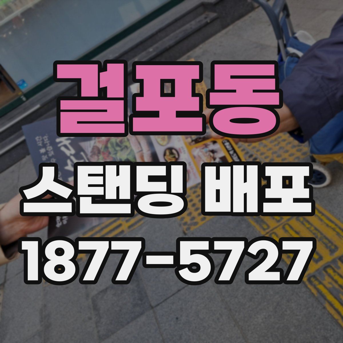 걸포동 스탠딩 배포