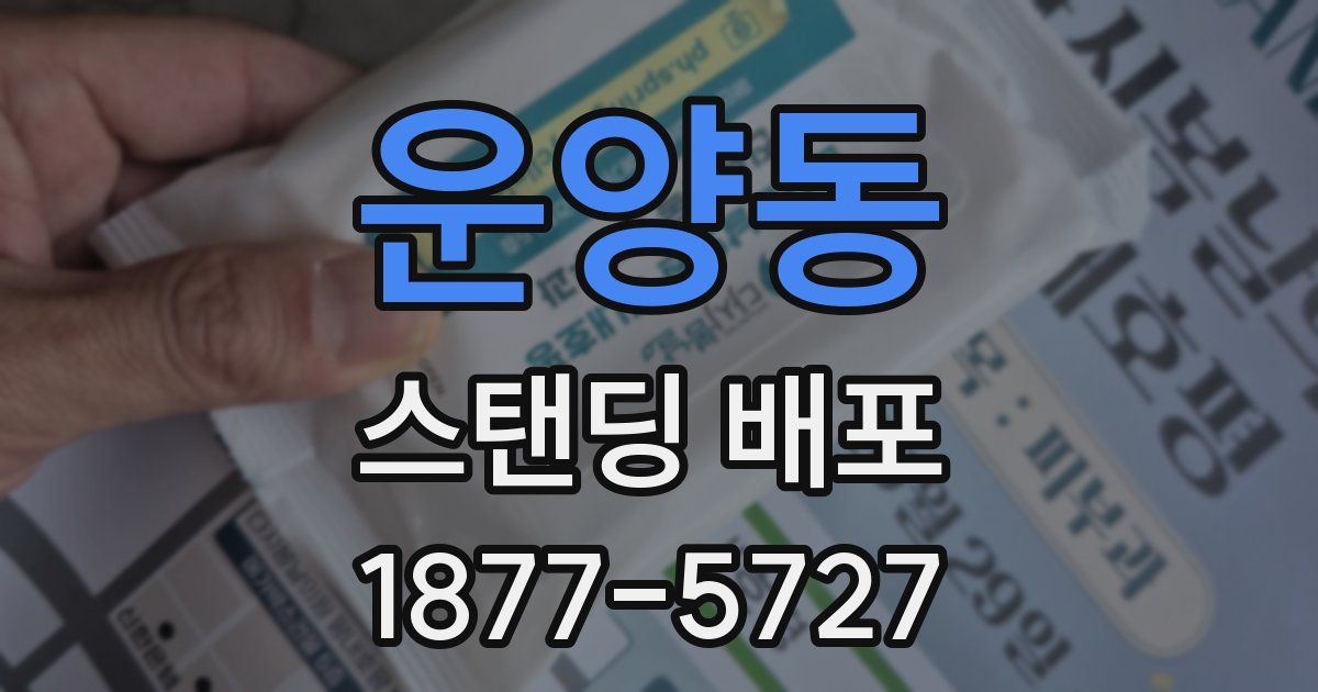 운양동 스탠딩 배포