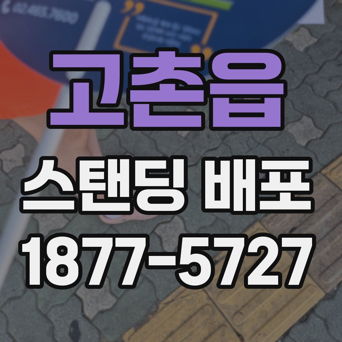 고촌읍 스탠딩 배포