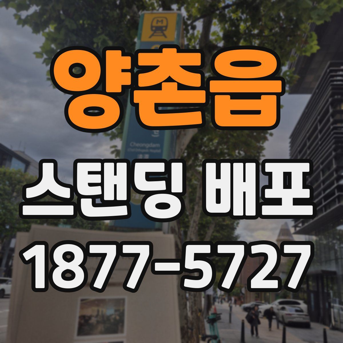 양촌읍 스탠딩 배포