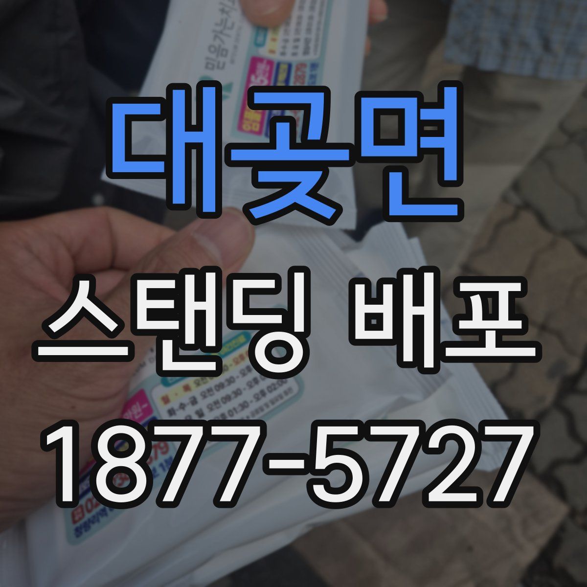 대곶면 스탠딩 배포