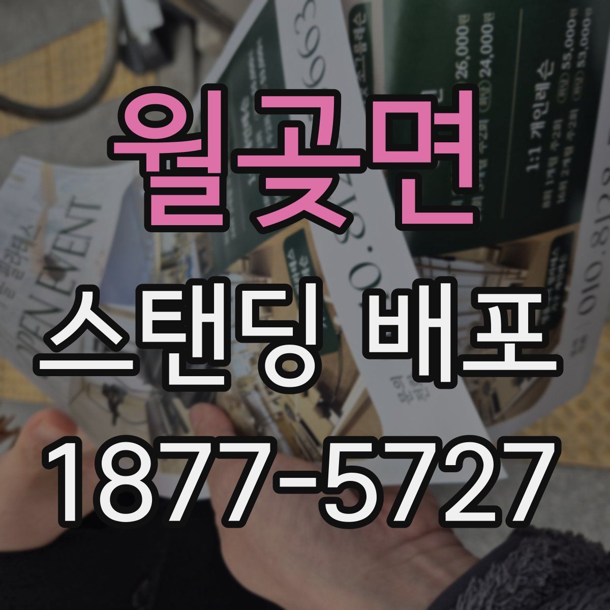 월곶면 스탠딩 배포