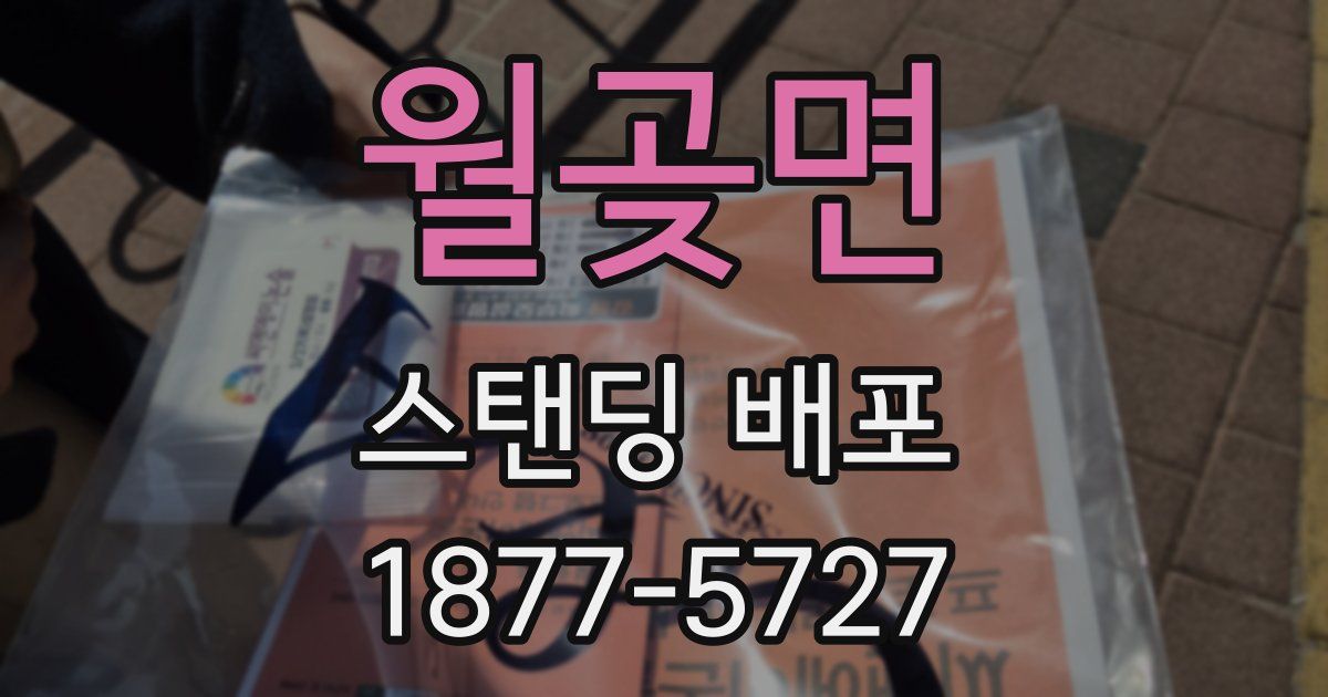 월곶면 스탠딩 배포