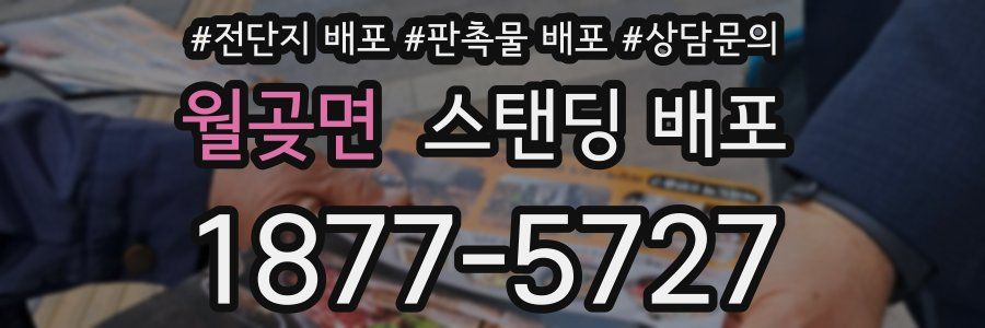 월곶면 스탠딩 배포