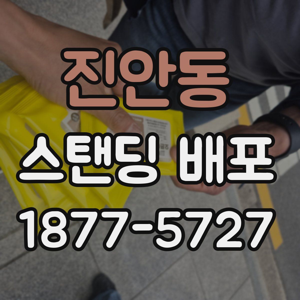 진안동 스탠딩 배포