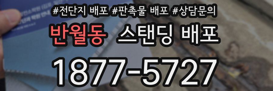 반월동 스탠딩 배포