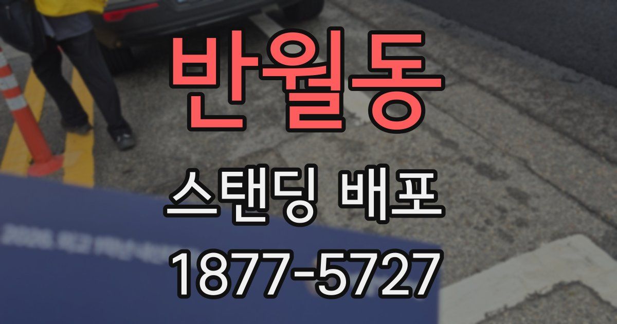 반월동 스탠딩 배포