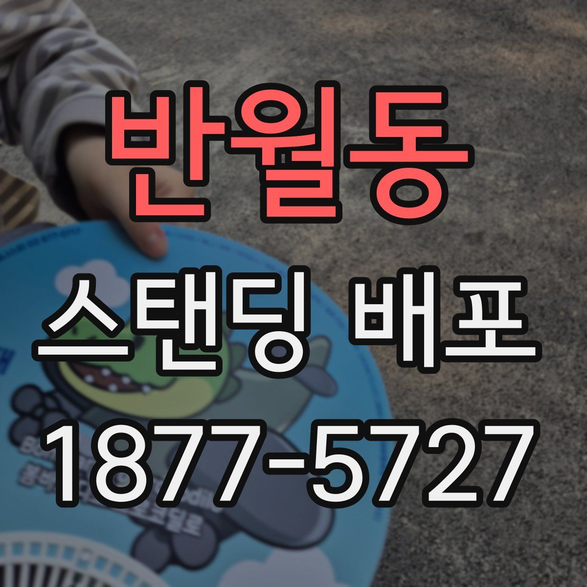 반월동 스탠딩 배포