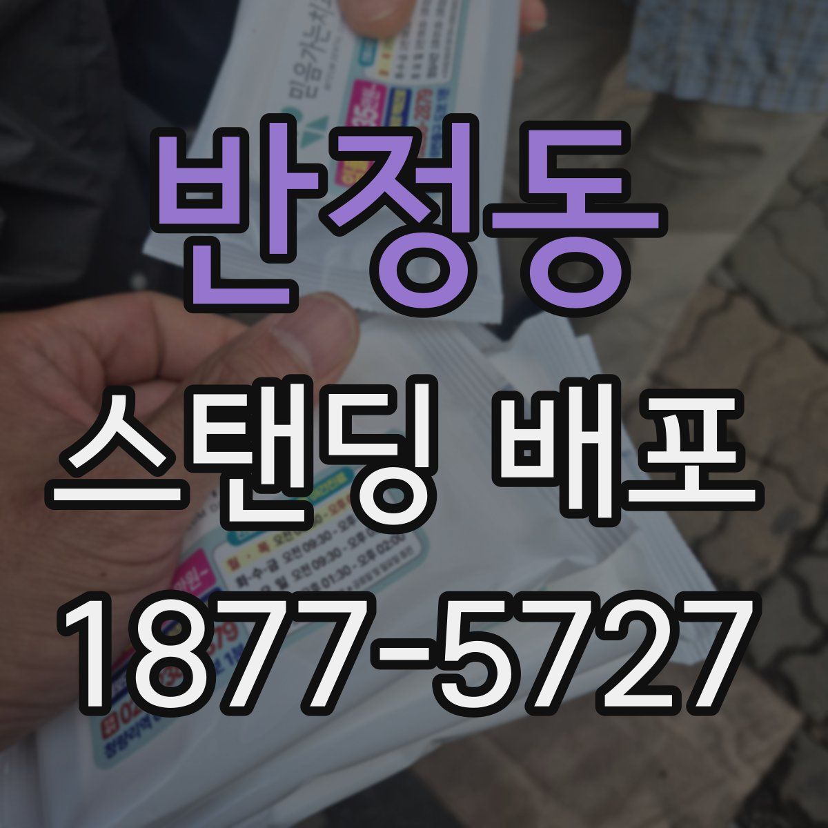 반정동 스탠딩 배포
